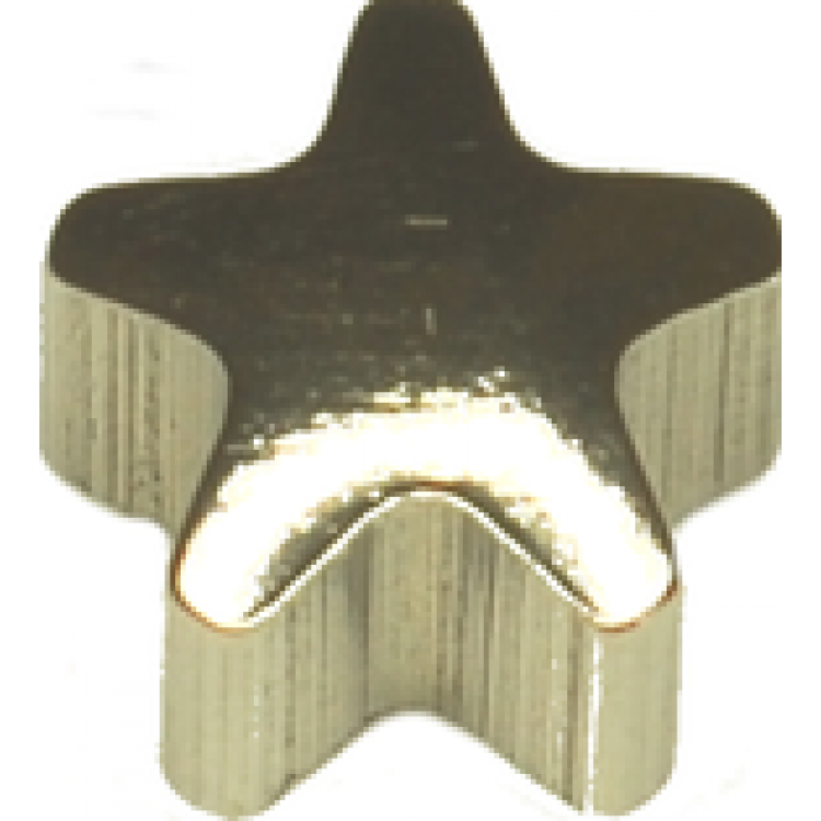 Žvaigždutė (S) R501W